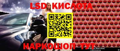 гидропоника Краснознаменск