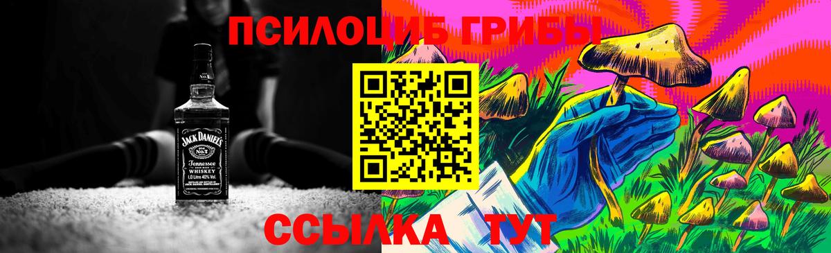 Псилоцибиновые грибы Magic Shrooms Камышин